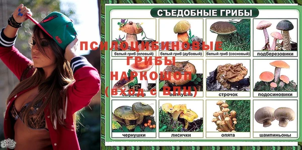 дмт Алзамай