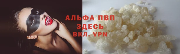 дмт Алзамай